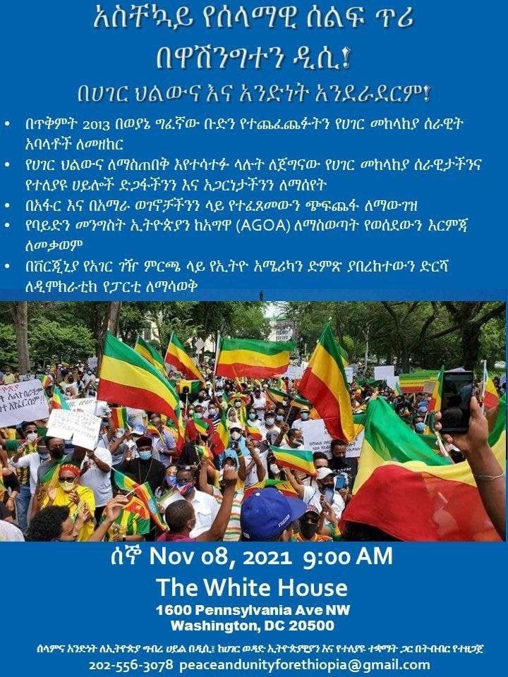 Ethiopians in DC to Denounce Mediation in Ethiopia’s Internal Affairs
