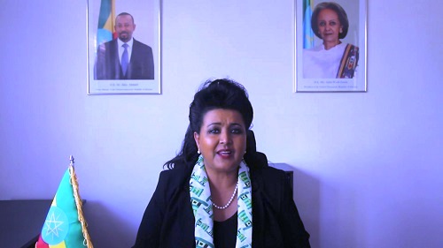 Ambassador Mulu Solomon applauds Diaspora for defending Ethiopia’s interest